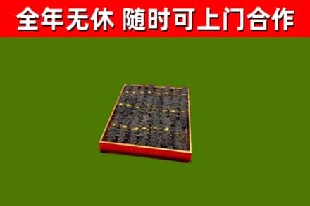 盐田回收海参